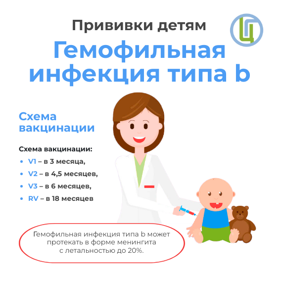 Прививки детям. Гемофильная инфекция